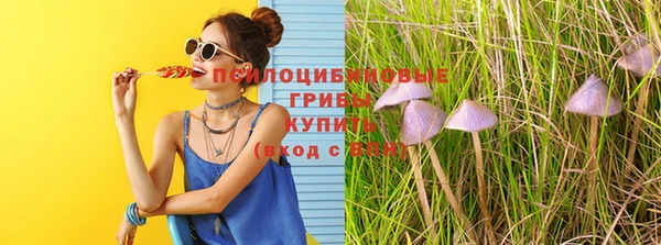 а пвп мука Медвежьегорск
