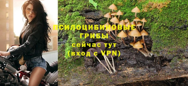 мяу мяу мука Богданович