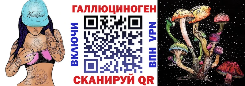 OMG онион Ахтырский Галлюциногенные грибы GOLDEN TEACHER